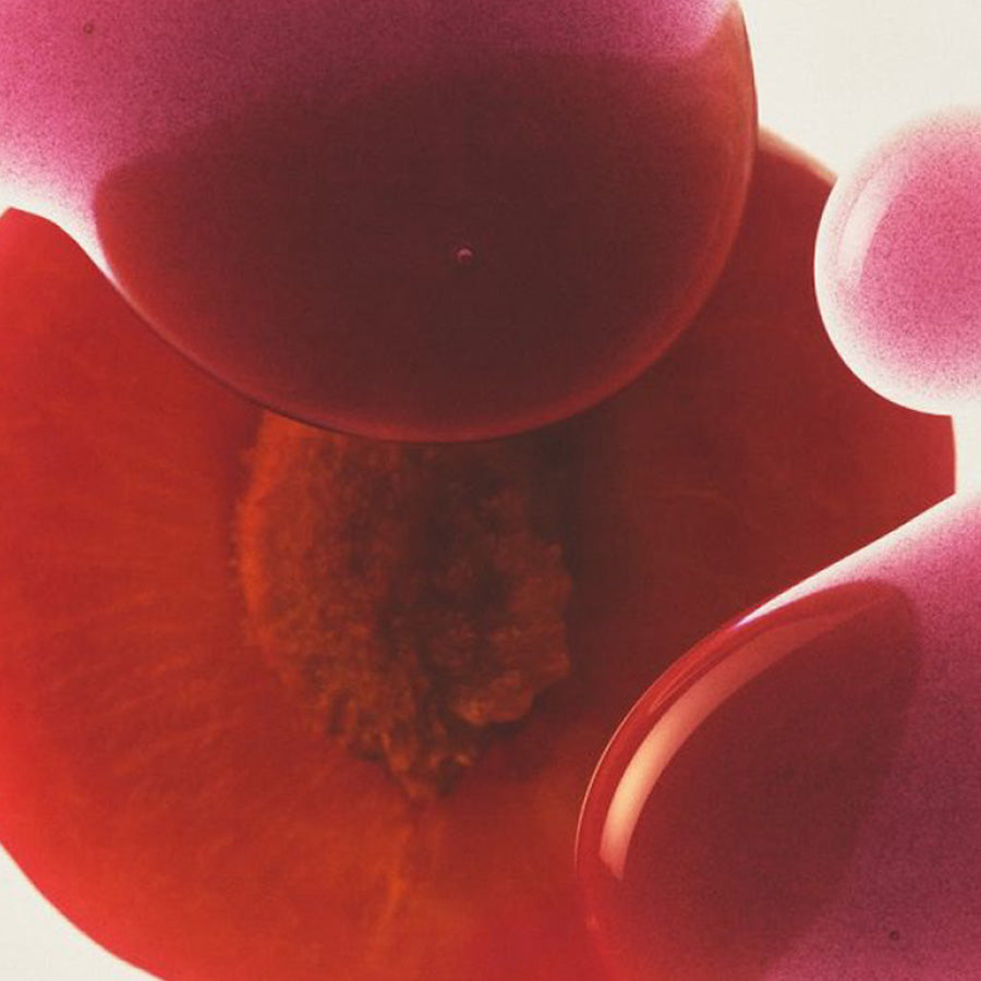 You've been wondering why nothing's quite worked. Turns out, no one started with your microbiome.