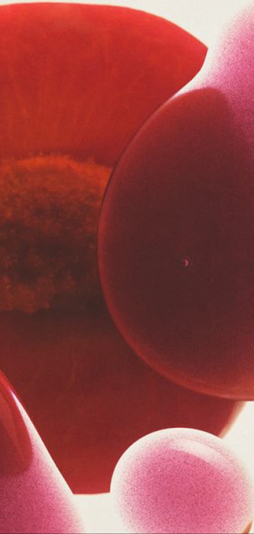 Abstract close-up artwork with large rounded forms in deep red, pink, and orange tones against a light background.
